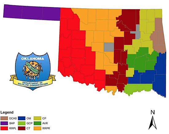 eco regions quail