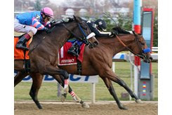 Marley's Freedom (inside) holds off Come Dancing in the Go for Wand Handicap at Aqueduct Racetrack