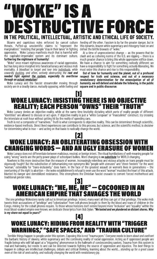 woke-2-sided-legal-flyer_post-speech-p1_Page_1 image