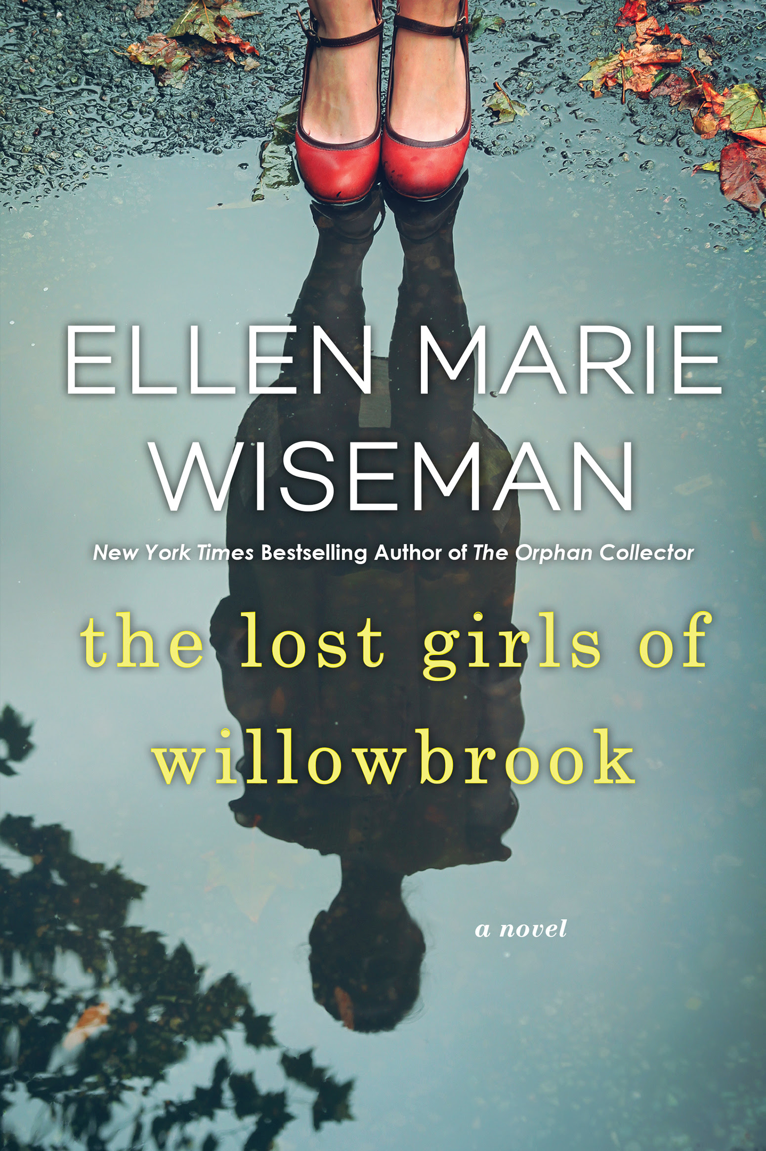 Pdf Downloaad The Lost Girls Of Willowbrook By Ellen Marie Wiseman