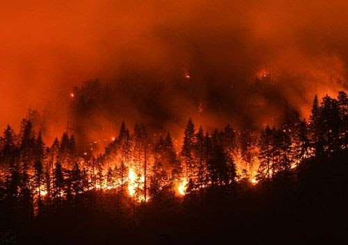 An Oregon wildfire burning through trees and brush