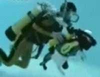 The World's Only Scuba Diving Cat