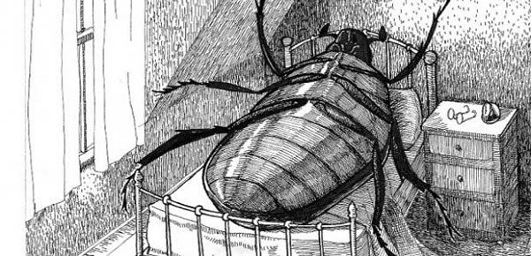 20 clásicos de la literatura que puedes descargar y leer gratis 17 La metamorfosis