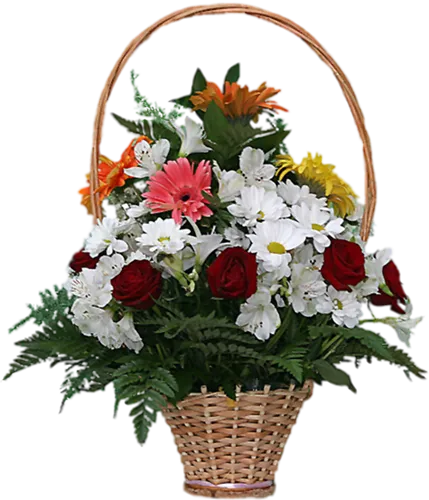 photo hoa22a_500_zpsf4b555fd.png