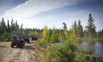 Three ORVs travel down a dirt path in a sparse forest.