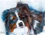 5x7 Mini Australian Shepherd Dog Pet Portrait Watercolor by Penny Lee StewArt - Posted on Friday, January 23, 2015 by Penny Lee StewArt