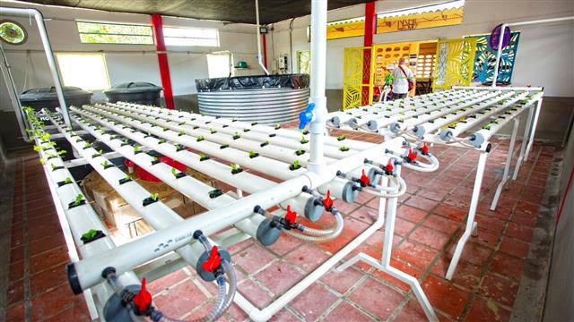 C.R.A. inauguró segunda Ecoescuela en Sabanagrande 44 image14089188