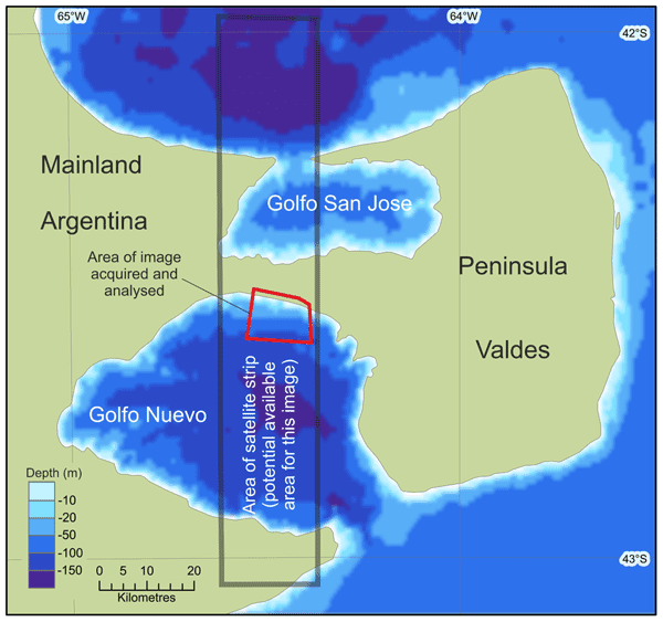Research
area in Golfo Nuevo used for the remote sensing study.