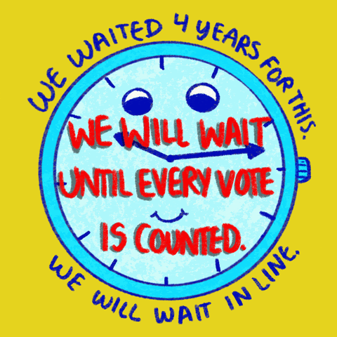We waited 4 years for this. We will wait in line. We will wait until every vote is counted.