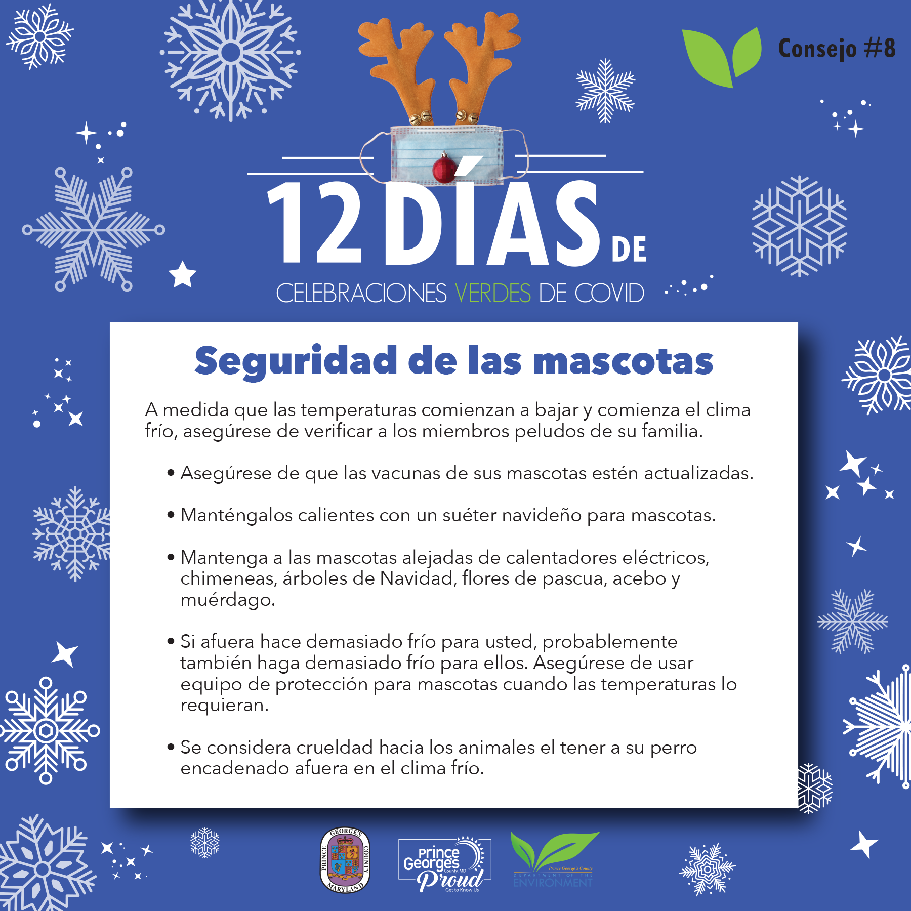 Day 8 of 12 Days Spanish Day 8 of 12 Days Spanish