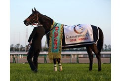 Le Vent Se Leve after his victory in the Champions Cup at Chukyo Racecourse