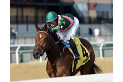 Manuel Franco pats Positive Spirit as she soars by 10 1/2 lengths in the Demoiselle Stakes at Aqueduct Racetrack