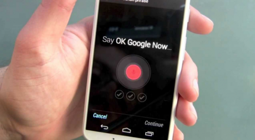 google voice