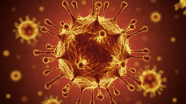 Resposta imunológica contra coronavírus pode durar pelo menos oito meses após infecção, indica estudo