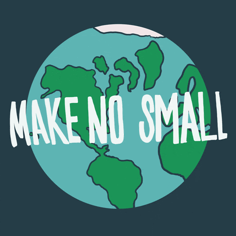 Make no small plans for the planet