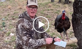 Turkey tagging demo, video link 