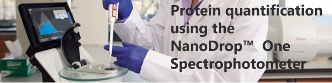 Protein quantification using the NanoDrop One Spectrophotometer
