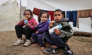 Недоедание никогда не было настолько смертельной угрозой для Газы, как сейчас. 