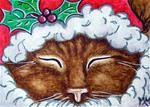 Santa Kitty - Posted on Saturday, December 6, 2014 by Monique Morin Matson