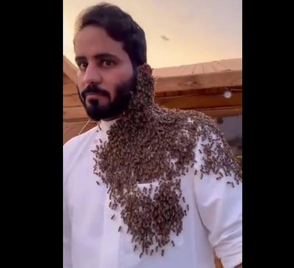 عبدالرحمن المطيري يوثق تجمّع ١٥ ألف نحلة على وجهه: يحسبوني عسل -فيديو