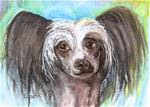 5x7 Chinese Crested Dog Pet Portrait Painting Watercolor Art Penny Lee StewArt - Posted on Monday, January 12, 2015 by Penny Lee StewArt