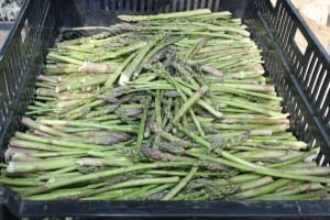 There's still time to buy asparagus.