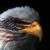 [Image: 4d291ca9a24b34997c8afa83bc92e6f5?s=50&d=identicon&r=G]