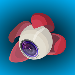 Litchi for DJI Drones, app icon