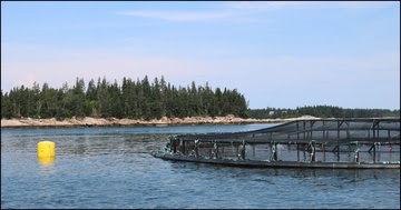 Marine Net Pen Aquaculture