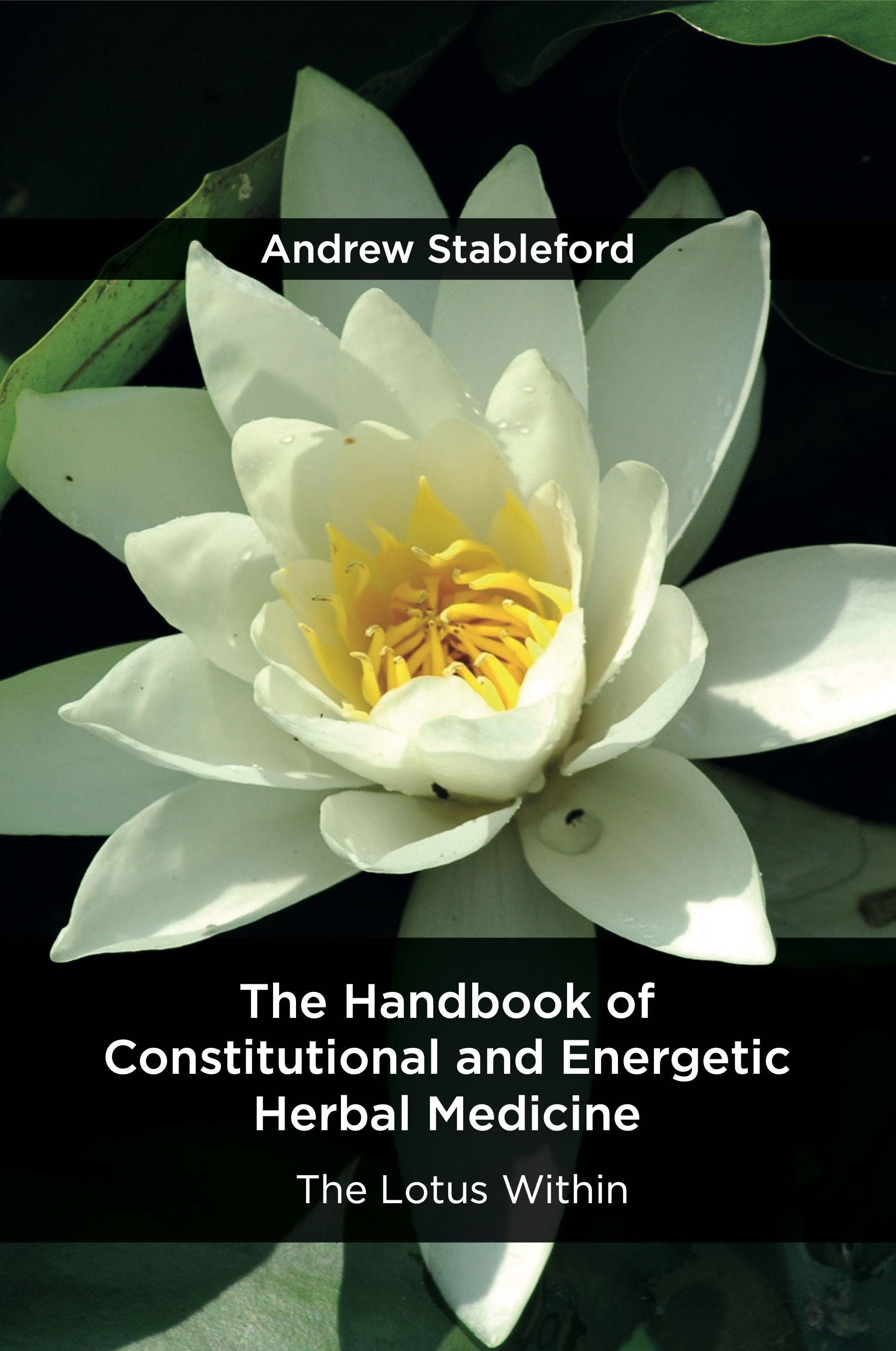 The Handbook of Constitutional and Energetic Herbal Medicine: The Lotus Within EPUB
