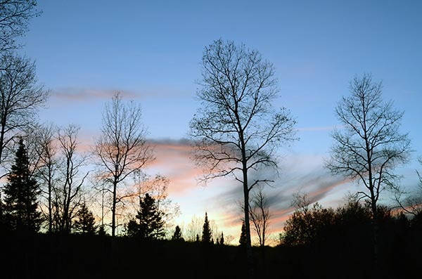 A dusky evening sky, silhouettes bare-limbed trees on a ridge as the sun sets over the western U.P.