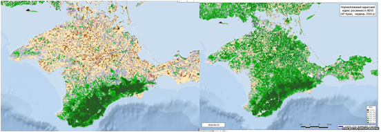 Unique Crimean ecosystem is subject to extinction. A significant decrease in vegetation was recorded between 2016 (right) and 2018 (left)