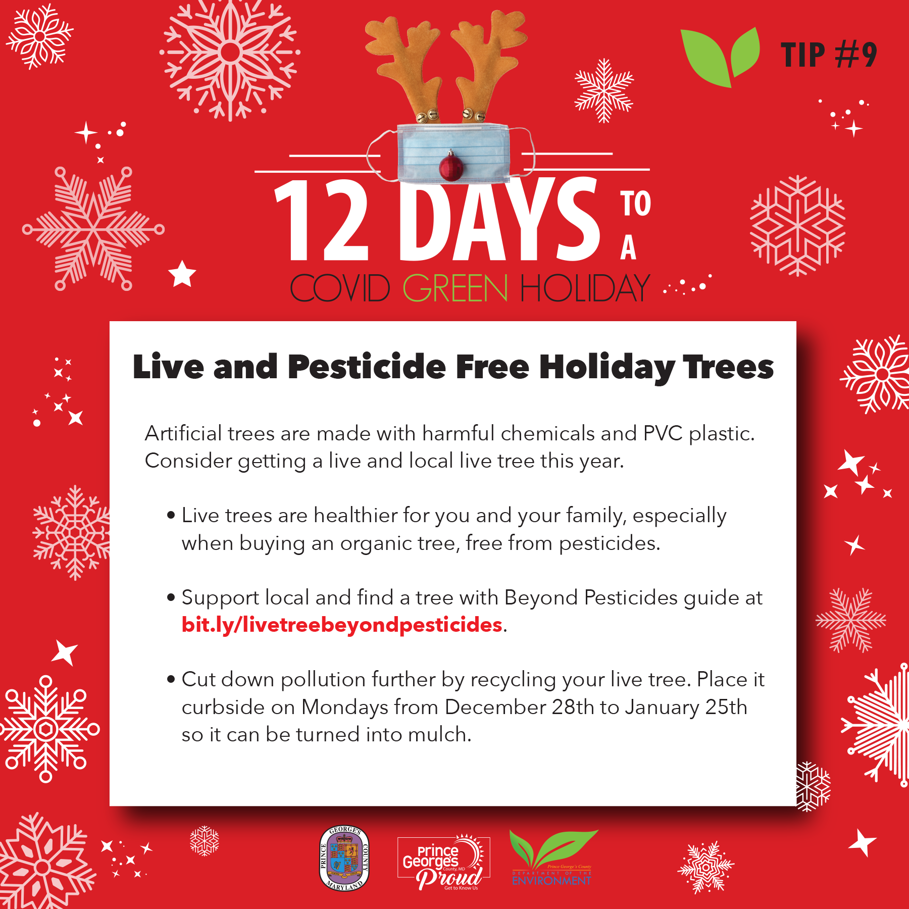 Day 9 of 12 Days