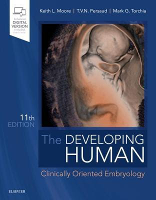 The Developing Human: Clinically Oriented Embryology PDF
