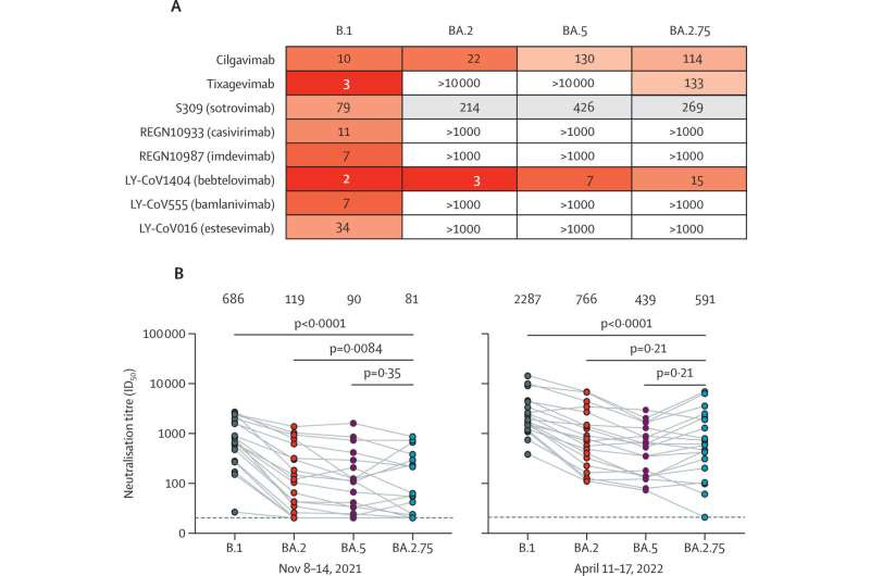 New findings suggest new omicron BA.2.75 is as susceptible to antibodies as the currently dominant variant