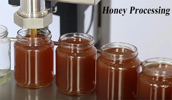 honey-processing business 