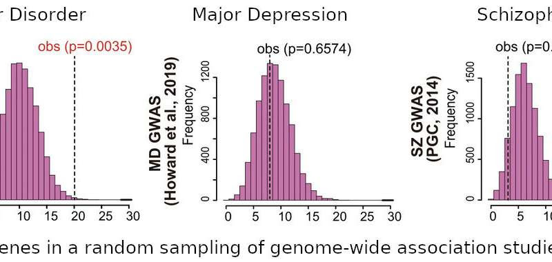 DNA methylation changes and characteristics in neurons of bipolar disorder patients