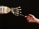 Robots personalize distance learning