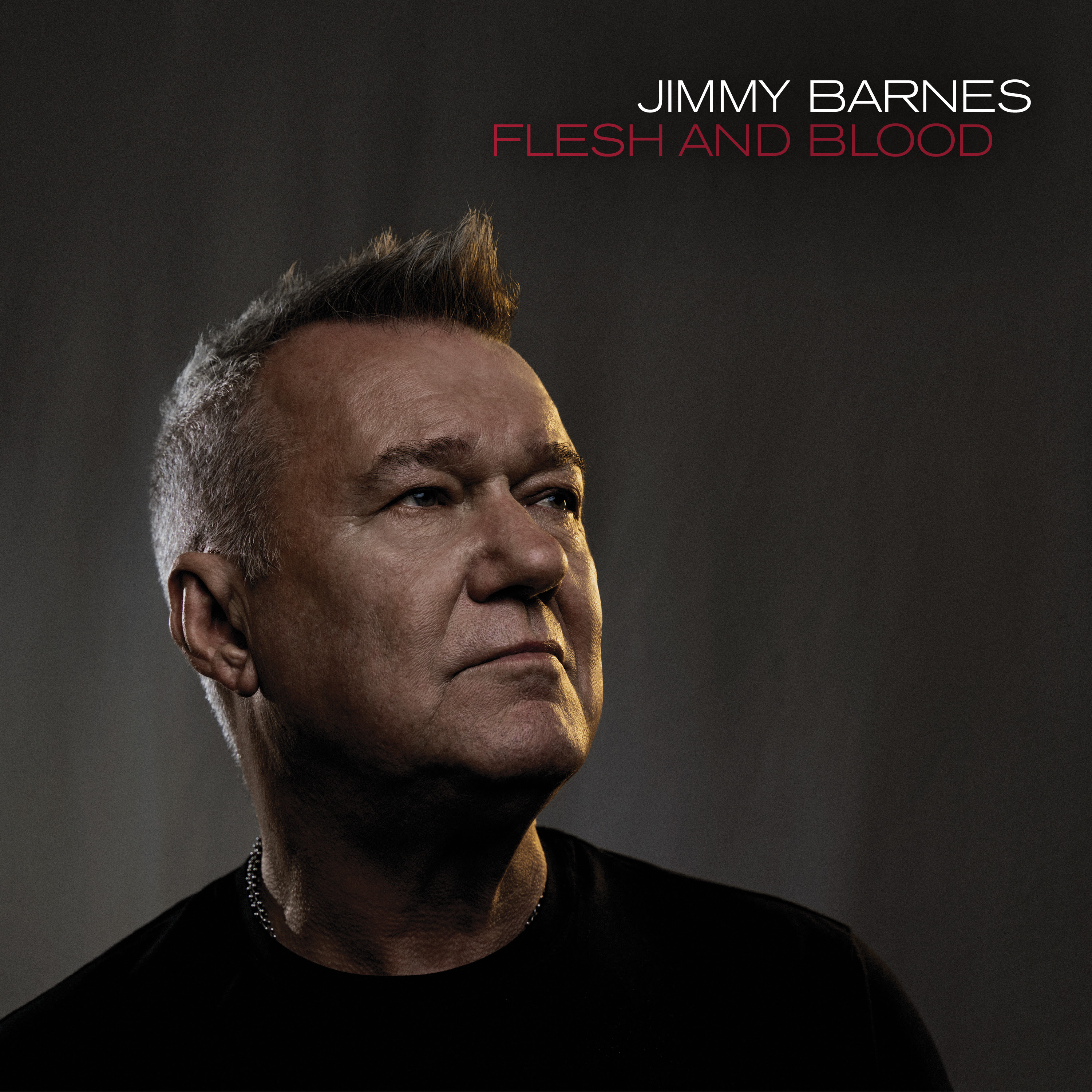 Jimmy barnes. Jimmy Barnes Flesh and Blood 2021. Jimmy Barnes. Flesh and Blood (CD). Фото Jimmy Barnes. Jimmy Barnes 1995 - Psyclone.