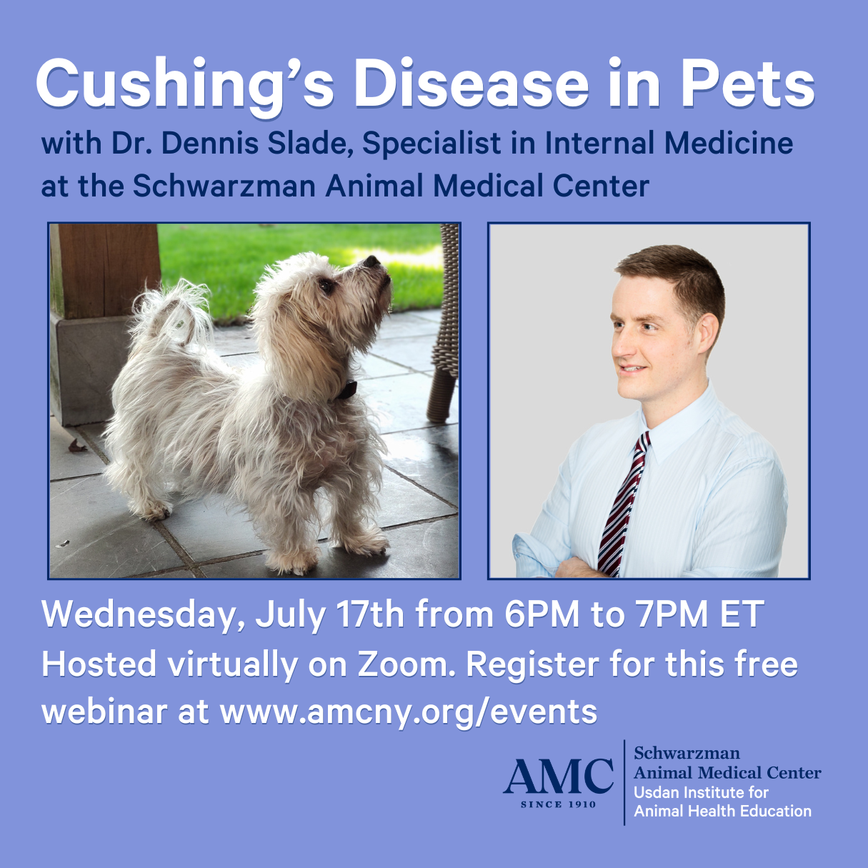 Cushing's Disease in Pets infographic with headshot of Dr. Dennis Slade and photo of dog with Cushing's Disease.