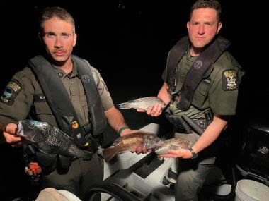 Two ECOs holding confiscated fish