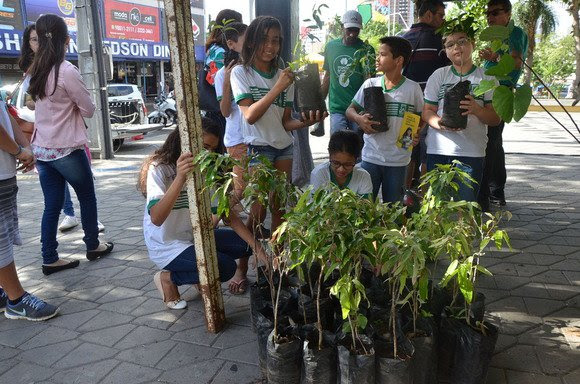 imagem