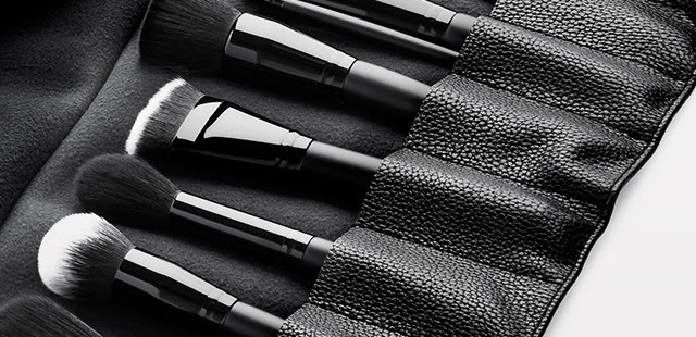 NEW: 19 Piece Brush Collection