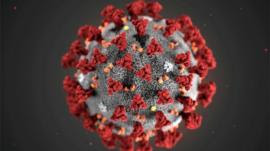 Coronavírus: o que esperar da nova reunião da OMS que decidirá sobre estado de emergência