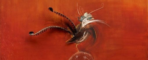 At the Brett Whiteley Studio: feathers and flight