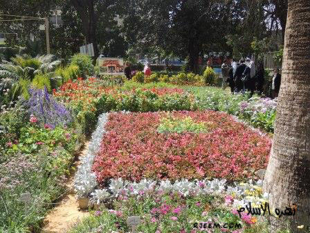 مهرجان الزهور من تصويرى  14010545092