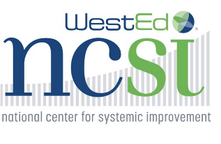 NCSI logo