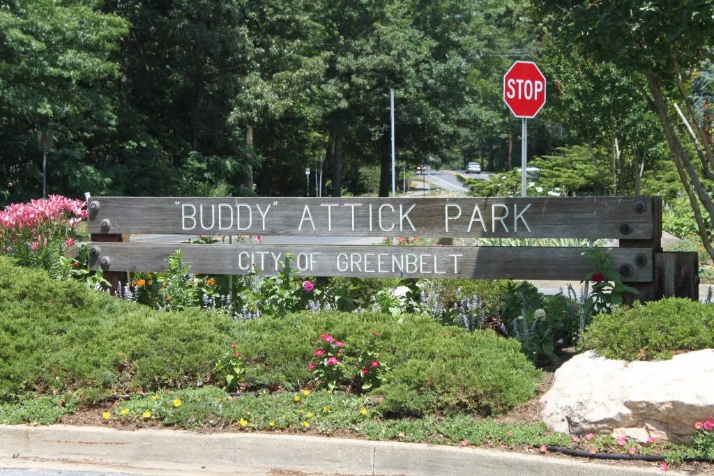 Buddy Attick Lake Park is a Real Greenbelt Gem Greenbelt, MD Patch