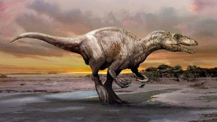 El hallazgo del Tralkasaurus cuyi ocurrió en febrero de 2018 al noroeste de la provincia de Río Negro