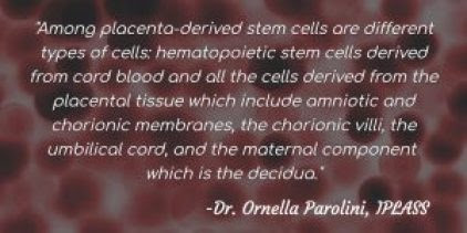 Placental Stem Cells - Definition